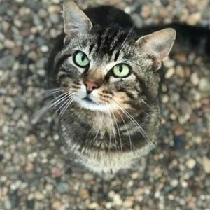 Meet your Posher, Gabriela